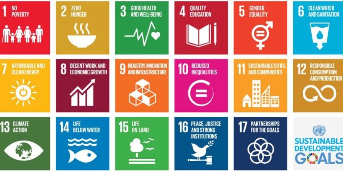 Sustainable Development Goals 2017