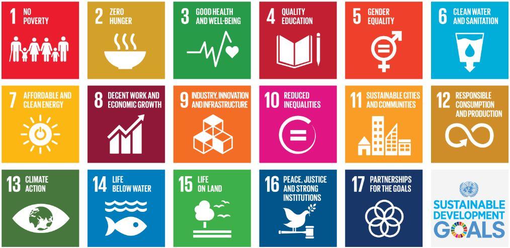 sustainable development goals 2017